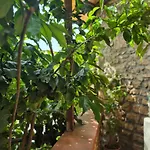 Апартаменты Casetta Limone Loft *